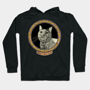 Lucy&#39;s Gaze (frame silver gold celtic rope) Hoodie